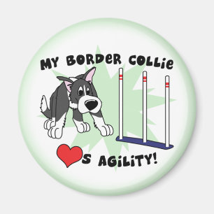 Magnet för Collie för tecknadAgilitygräns