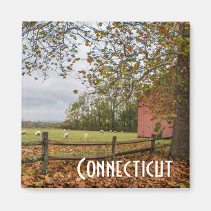 Magnet för Connecticut nedgånglantgård