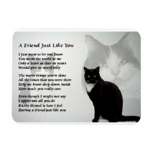 Magnet för dikt för kattdesignvän