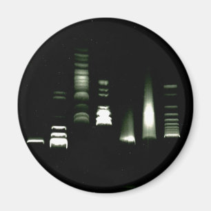 Magnet för DNA-GelElectrophoresis