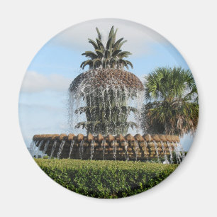 Magnet för fontän för Charleston SC-ananas