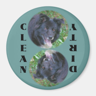 Magnet för gränsColliediskare