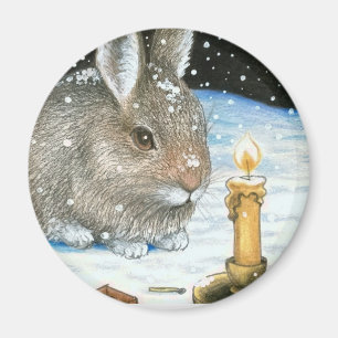 magnet för hare 20