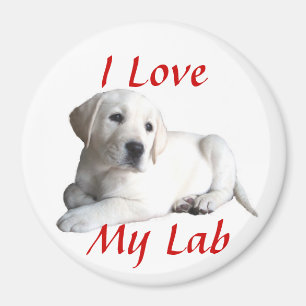 Magnet för kärlek för Labrador Retriever