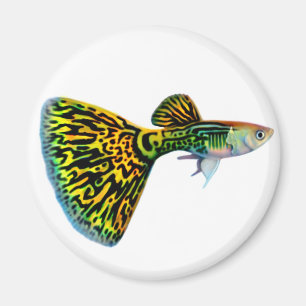 Magnet för kobraSnakeskin Guppy