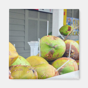 Magnet för kokosnötvattenKey West FL kokosnötte