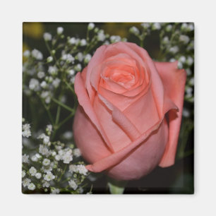 Magnet för korall Rose-005