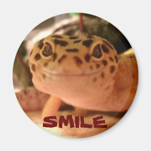 Magnet för LeopardGeckoleende