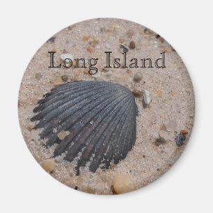 Magnet för Long Islandkammusslasnäcka