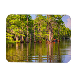 Magnet för Louisiana flodarmfoto