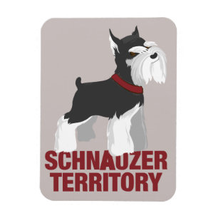 Magnet för miniatyrSchnauzerhund