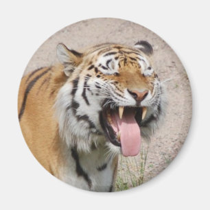 Magnet för något att säga AHHHH