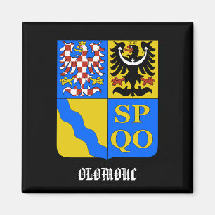 Magnet för Olomouc tjeckisk republikkök