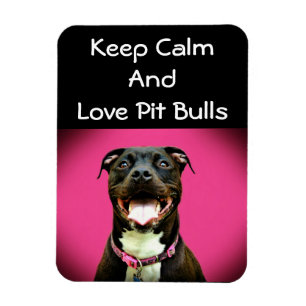 Magnet för Pitbull kärlekfoto