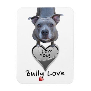 Magnet för Pitbull översittarekärlek