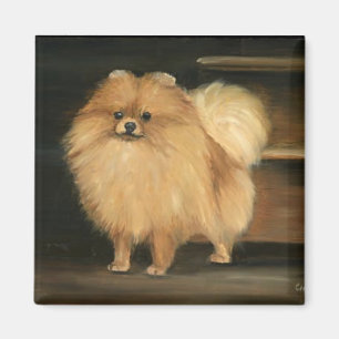 Magnet för Pomeranian hundkonst