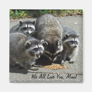 Magnet för Raccoonfamiljmamma