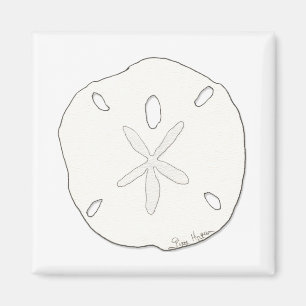 Magnet för Sanddollar