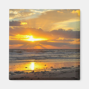 Magnet för soluppgång för Florida strand scenis