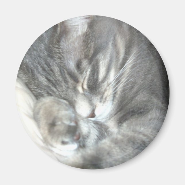 Magnet för sovande katter (Framsidan)