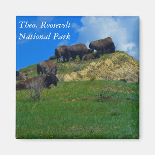 Magnet för Theodore Roosevelt nationalparkND