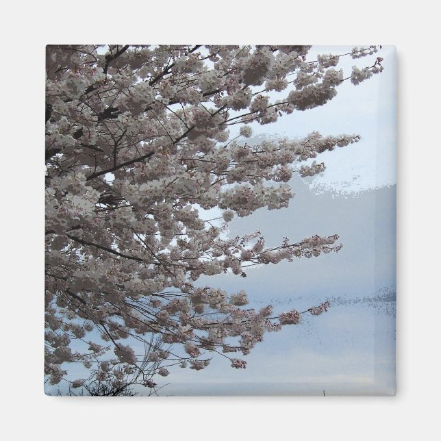 Magnet för trädblommarkyl (Framsidan)