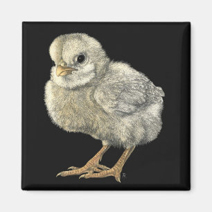 Magnet "för tuff chick"
