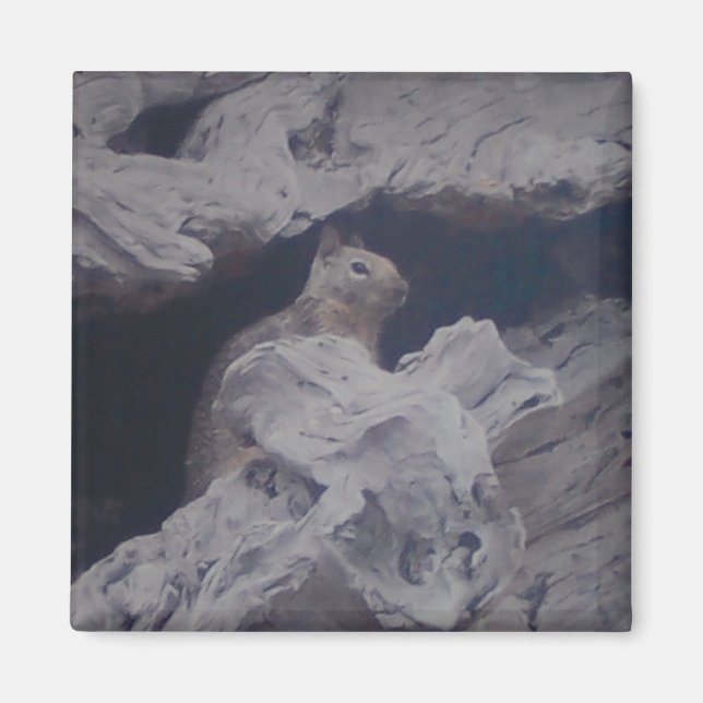 Magnet för tyst observatör (Framsidan)