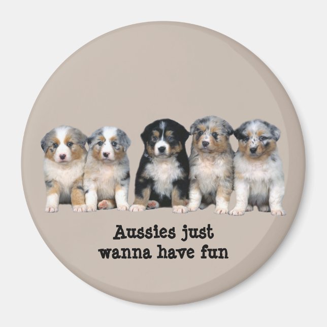 Magnet för valpar i australian shepherd (Framsidan)