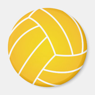 Magnet för vattenPoloboll