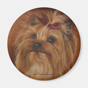 Magnet för Yorkshire Terrier