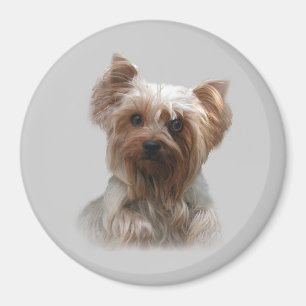 Magnet för Yorkshire Terrier