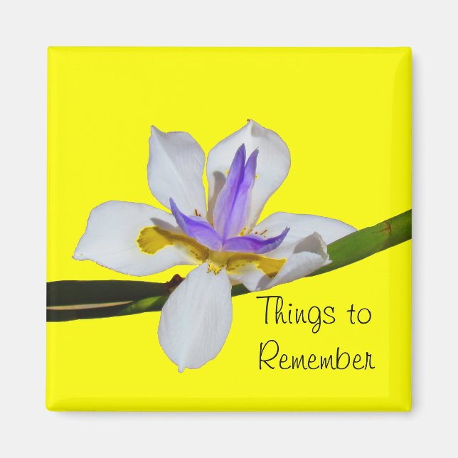 Magnet - Fortnight Lilly (Framsidan)