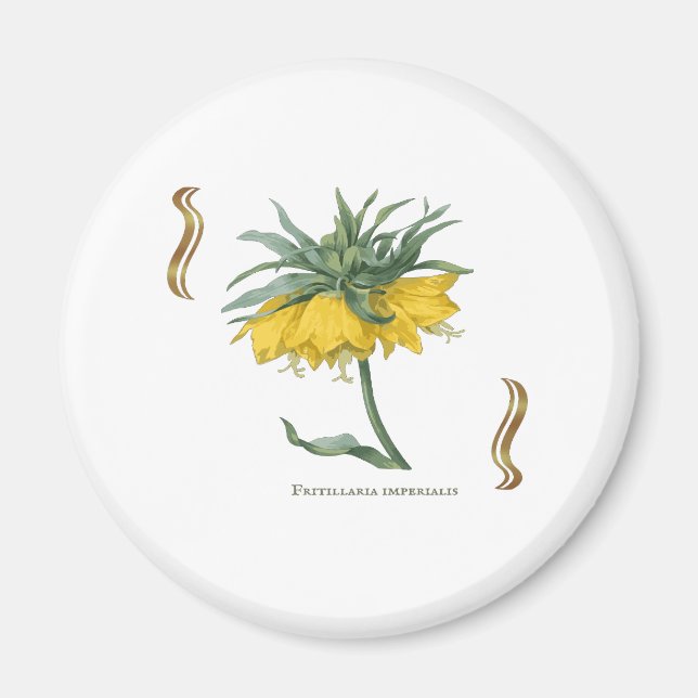 Magnet Fritillaria imperialis -couronne impériale (Framsidan)