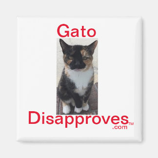 Magnet, Gato ogillar Magnet