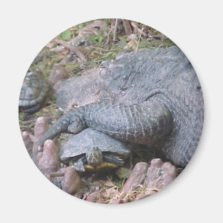 Magnet "Gator Hugs"