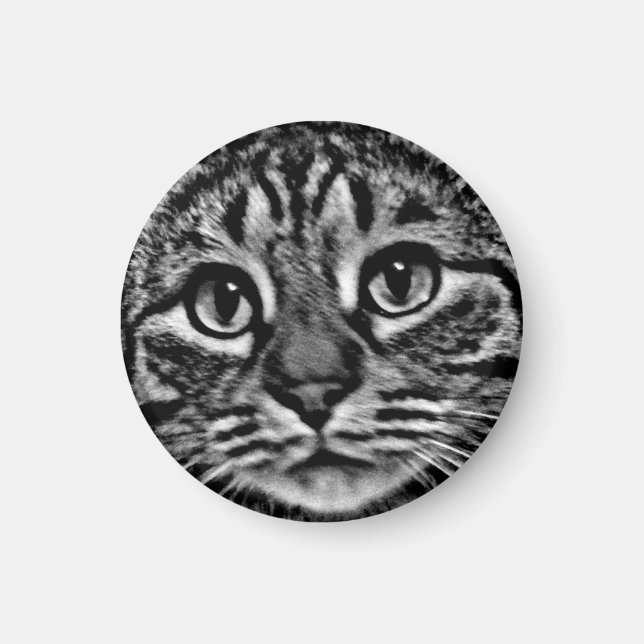 Magnet - General Tso, Black and White (Framsidan)