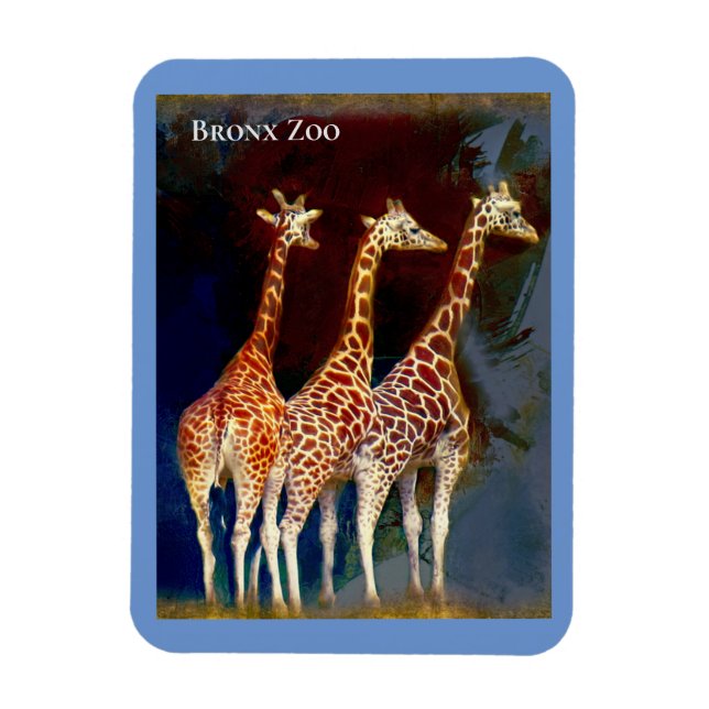 Magnet - Giraffes vid Bronx Zoo (Vertikal)