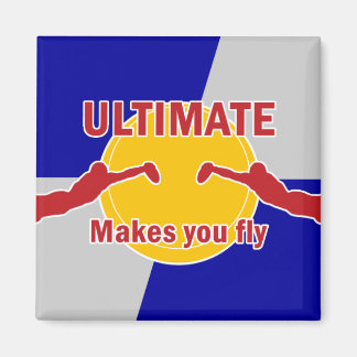 Magnet - gör att du flyger