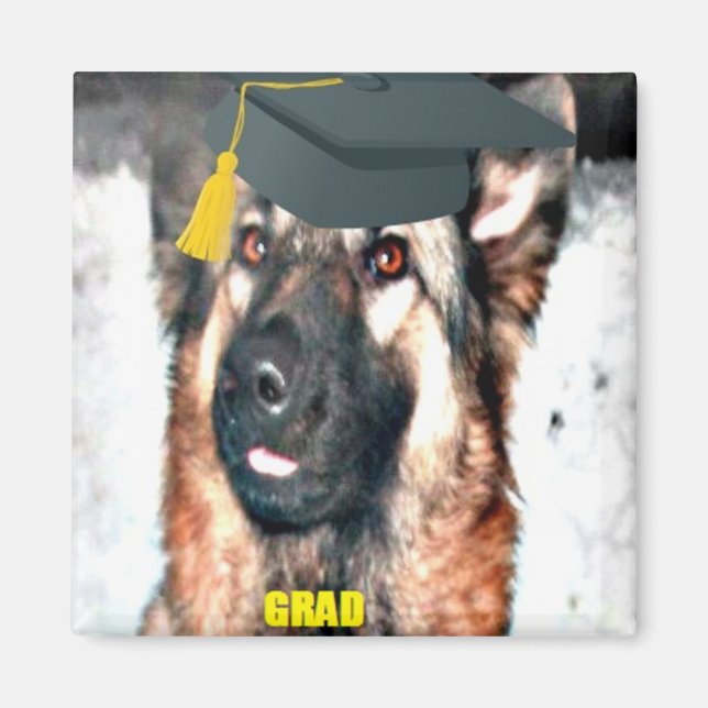 Magnet Graduerad Tysk Shepherd (Framsidan)