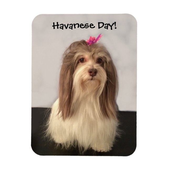 Magnet, HAVANESE DAY! av Nancy Lee Garrett Magnet (Vertikal)