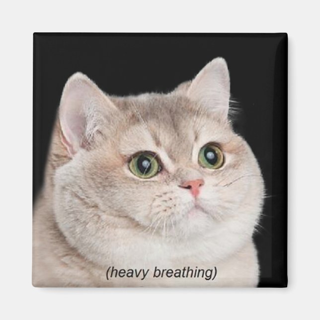 Magnet Heavy Breathing Cat Meme (Framsidan)