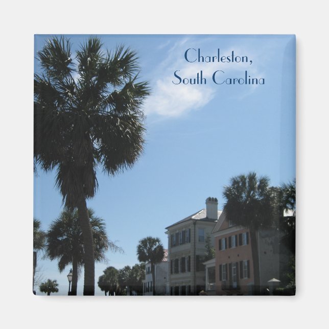 Magnet ~ Historic Downtown Charleston (Framsidan)