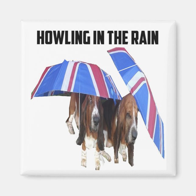 Magnet Howling in the Rain (Framsidan)