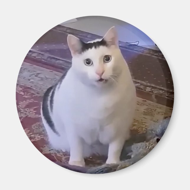 Magnet Huh Cat Meme (Framsidan)