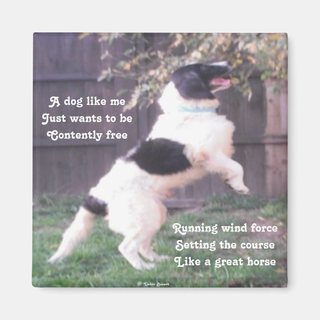 Magnet Hund Horse Dikt by Ladee Basset (Framsidan)