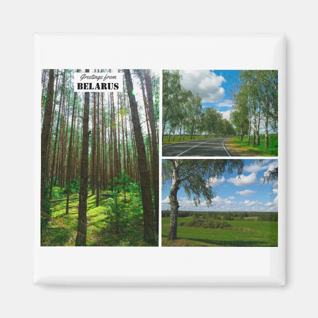 Magnet i naturskogar i Hälsning i Vitryssland (Framsidan)