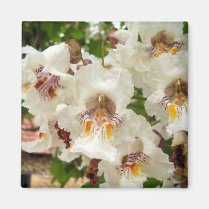 Magnet indiska Bean Träd Flowers