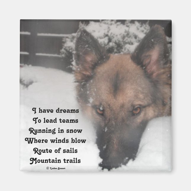 Magnet jag har drömmar Dikt av Ladee Basset (Framsidan)