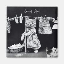 Magnet, Katt Hanging Tvätt